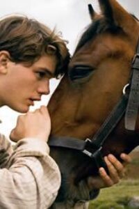 War horse (Caballo de batalla)