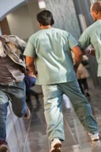 Todos los días de mi vida