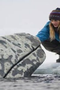 Una aventura extraordinaria