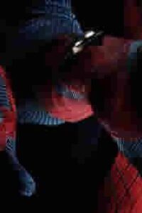 The Amazing Spiderman