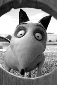 Frankenweenie