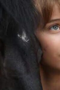 Jappeloup, de padre a hijo