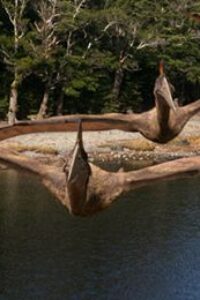 Caminando entre dinosaurios